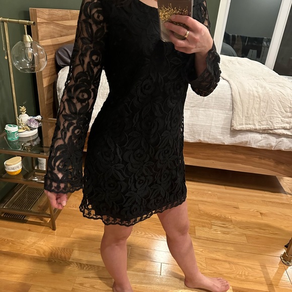 Lace shift dress - Picture 4 of 4